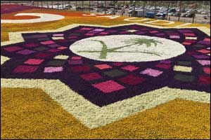 Royal Commission of Jubail & Yanbu Reclaim the Guinness World Record Title for ‘Largest Carpet of Flowers