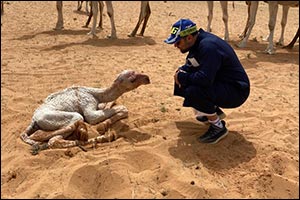 Get ready for Camel Quest, a Breezy enchanting TV series on the Rich Cultural Heritage of Saudi Arabia