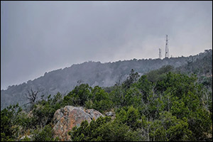 Thick Fog Transforms Al-Baha Foothills into Scenic Summer Retreat