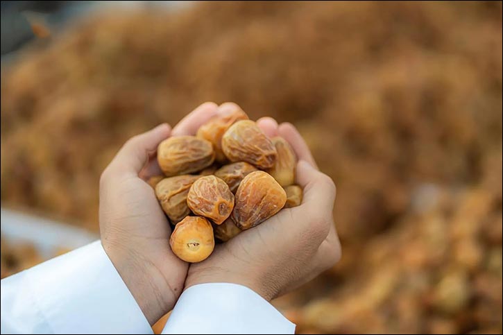 ‘Qassim Land' Emerges as Global Platform for Responsible Consumption, Production