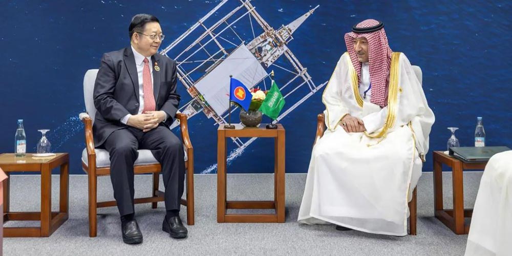 Vice Foreign Minister Meets with ASEAN Secretary-General