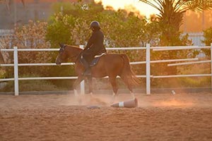 Equestrian Sport Gains Momentum Among Girls in Tabuk Region