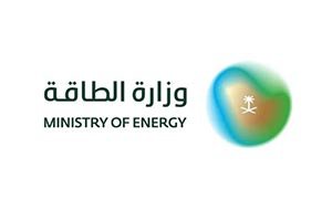 Energy Ministry Conducts 9,263 Inspections, Detects 964 Violations in July