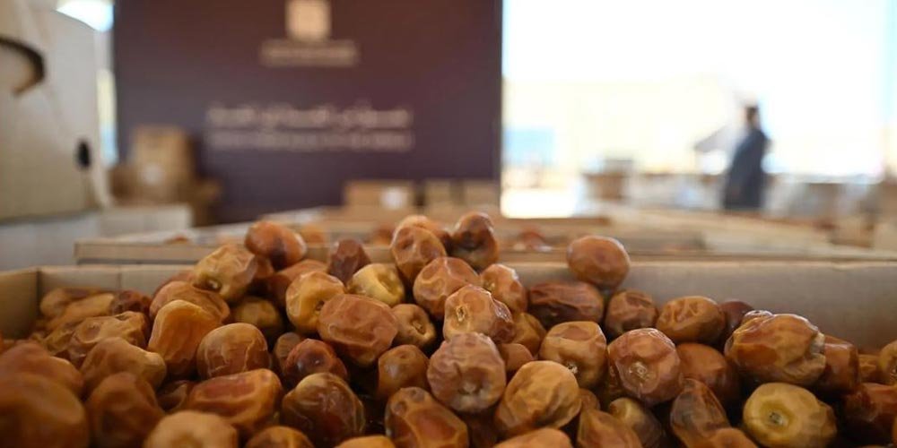 Seventh AlUla Dates Season Opens Today